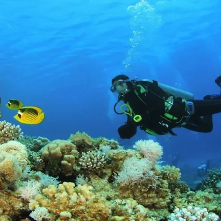 La Vecchia Cantina *