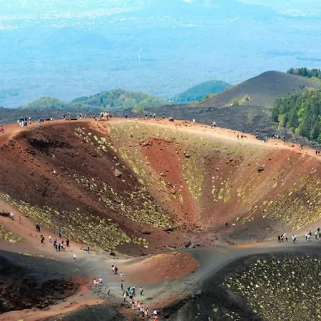 La Vecchia Cantina *